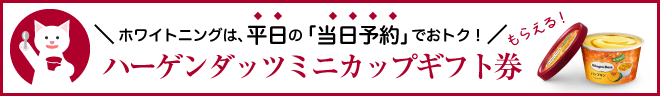 ハーゲンダッツバナー